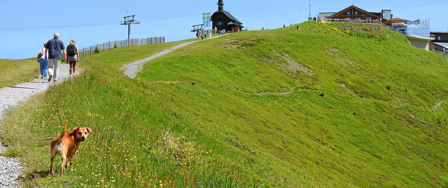 Aufstieg zur Schmittenhöhe Elisabeth Kapelle