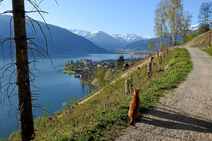 Blick von der Einödsiedlung auf den Zeller See