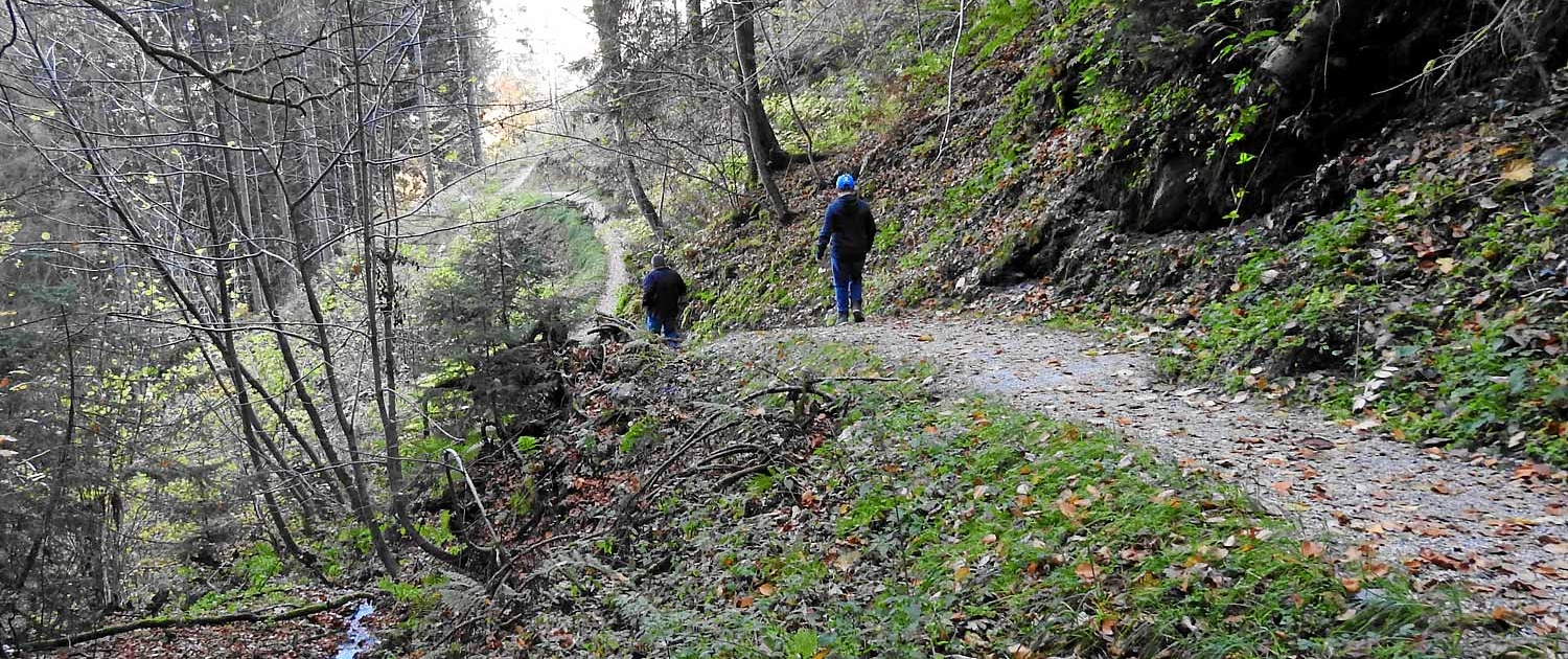 Wanderweg von der Ebenbergalm Richtung Schüttdorf